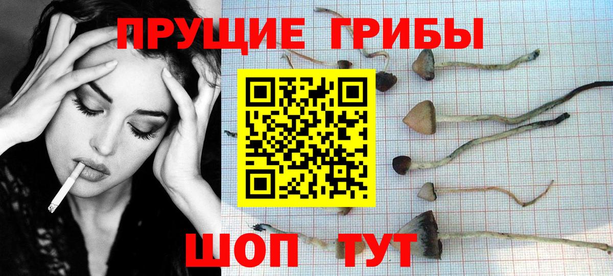 Галлюциногенные грибы мицелий  Вход с VPN  Можга 