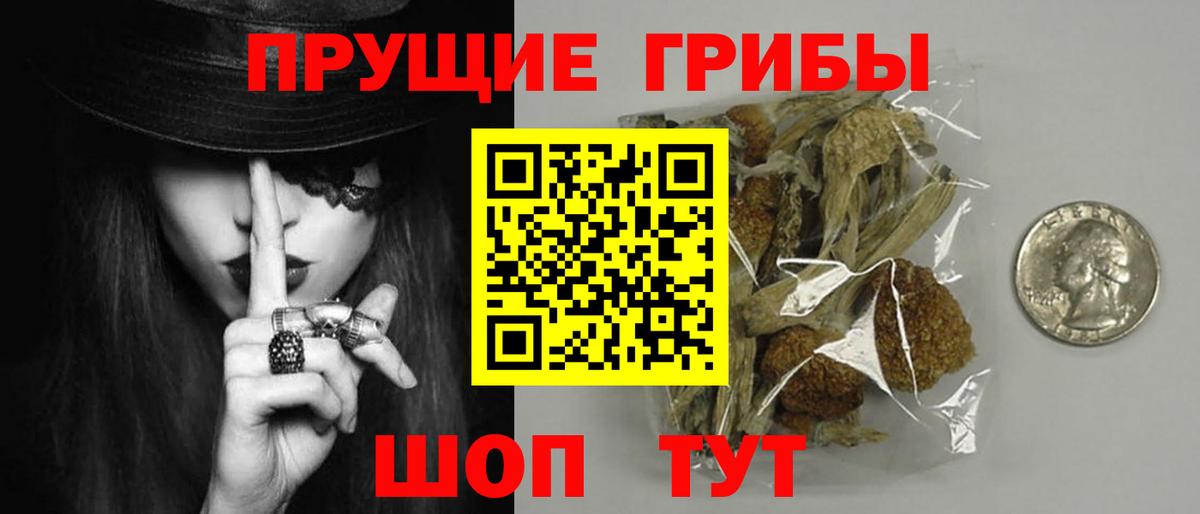 Псилоцибиновые грибы мицелий Можга